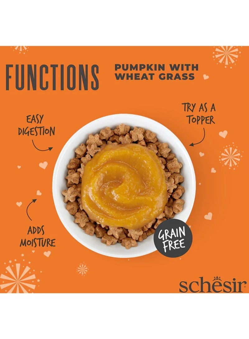 شيسر شيزر (Schesir) "فانكشنز" فاتح شهية لدعم الهضم للقطط الحساسة – اليقطين مع عشب القمح – مكمل غذائي سائل خالي من الحبوب – 40 جم (عبوة من 4 قطع) - Image 5